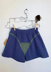 Fashion Brand Company | Bikini Bod Shorts | Green/Blue | Les Sol | Minneapolis